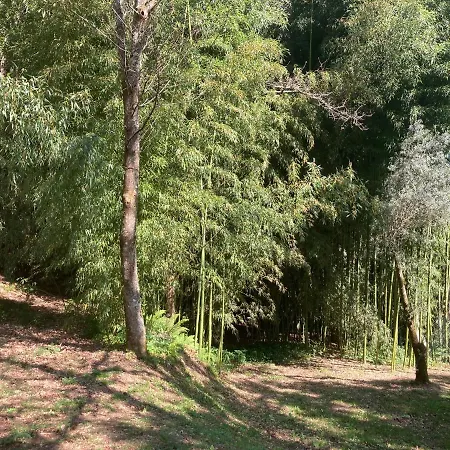 Dom wakacyjny Casa Da Assudra Vila Verde (Braga)