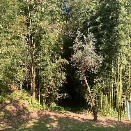 Casa Da Assudra Holiday home *