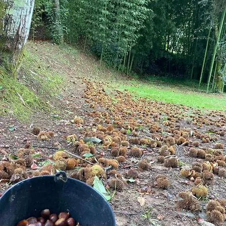 Casa Da Assudra Holiday home