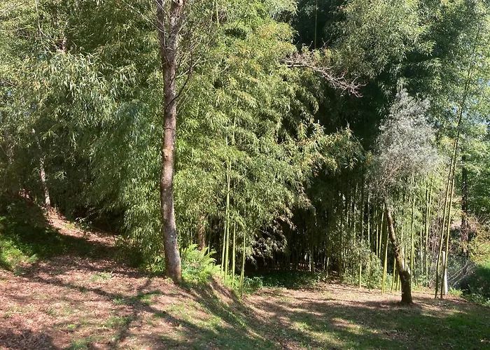 Сasa de vacaciones Casa Da Assudra Vila Verde (Braga)