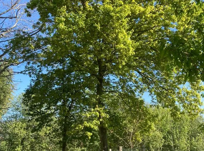 Casa Da Assudra Сasa de vacaciones