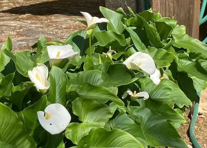 Casa Da Assudra Сasa de vacaciones *