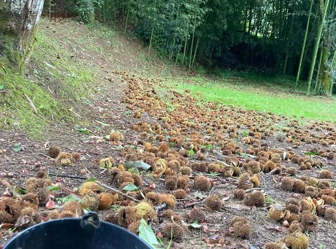 Casa Da Assudra Сasa de vacaciones