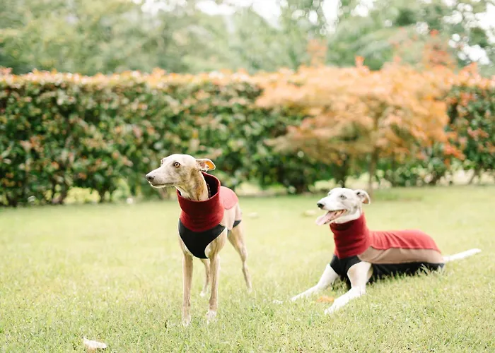 Casa Da Assudra Сasa de vacaciones Vila Verde (Braga)